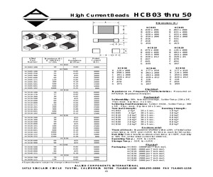 HCB10-100.pdf