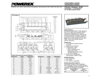 PM50B6LA060.pdf