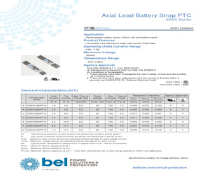 0ZSC0190FF1E.pdf