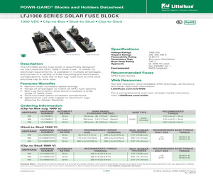 LFJ102001CST.pdf