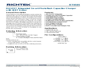 RT9595GQW.pdf