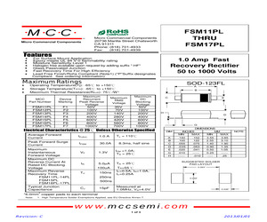 FSM17PL-TP.pdf