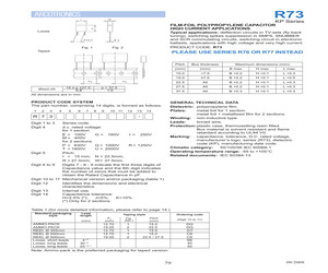 R73TR2560GY0-K.pdf
