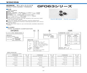 GF063SKB500.pdf