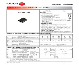 FSS110SMBHE3TRTB.pdf