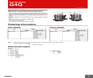 G4Q-212S-AC100/(110).pdf