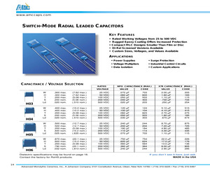 101H09W725MQ4.pdf