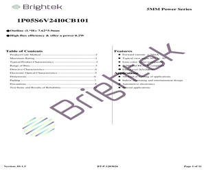 1P05S6V24I0CB101.pdf