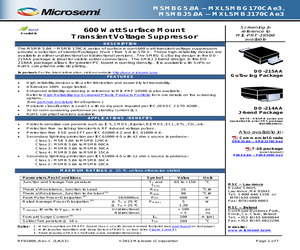 MSMBJ17CA.pdf