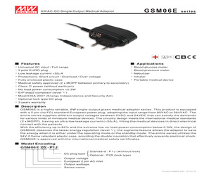 GSM06E18-P1J.pdf