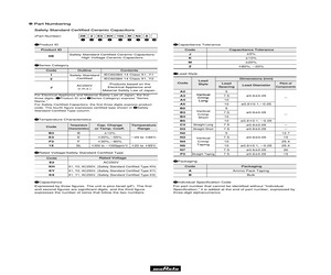 DE2B3KY151KA3BM02F.pdf