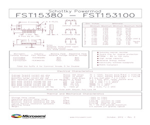 FST153100A.pdf