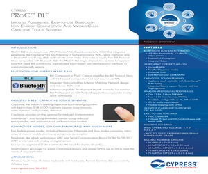 CYBL11573-56LQXIES.pdf