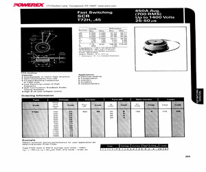 T72H0245B4DN.pdf