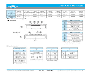 CR101000DV.pdf