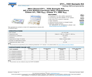 VY1-KIT-MS.pdf