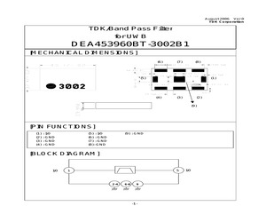 DEA453960BT-3002B1.pdf