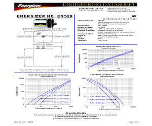 EN529.pdf