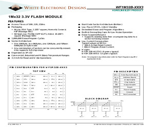 WF1M32B-100HI3A.pdf