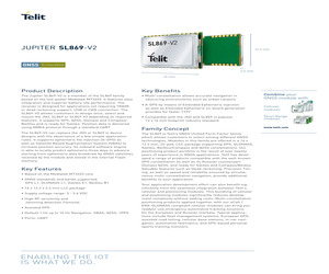 SL869V2A218T001.pdf