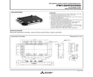 PM100RSD060.pdf