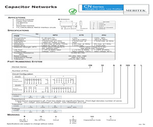 CN10CZ100JH.pdf