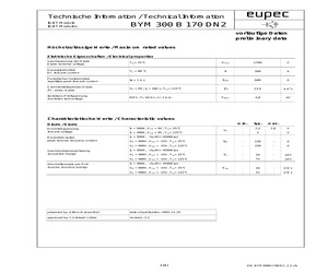 BYM300B170DN2HOSA1.pdf