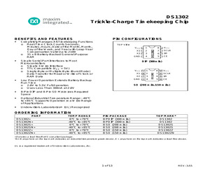 DS1302N+.pdf