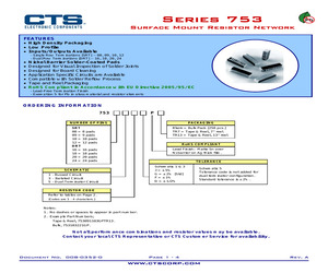 753091104FPTR13.pdf