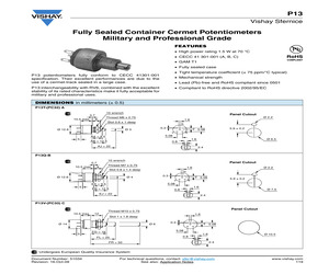 P13TAA220MAB17.pdf