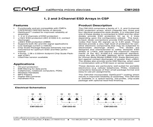 CM1203-01CS.pdf