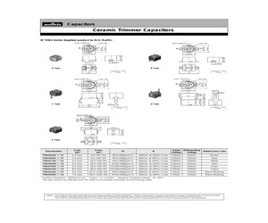 TZB4Z060BB10.pdf