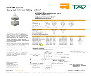 RAY-101-4.0(100).pdf