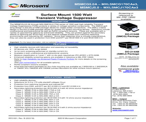 MSMCJ6.0A.pdf