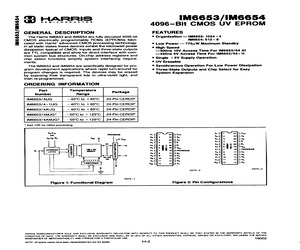 IM6653AMJG.pdf