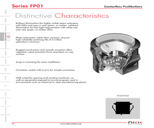 FP0115CAC1BF-C2.pdf