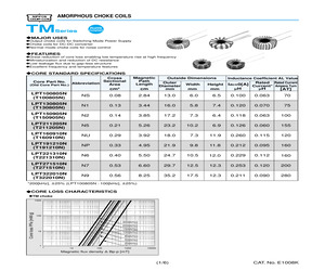 LBTM003171N5-V0E.pdf