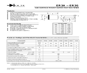 ER3G.pdf