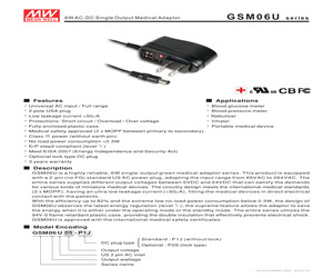 GSM06U24-P1J.pdf