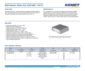 LR600240D25.pdf