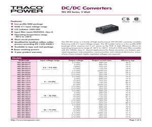 TES2N-1221.pdf