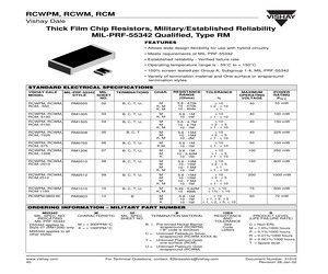 D55342K07B51D1S.pdf