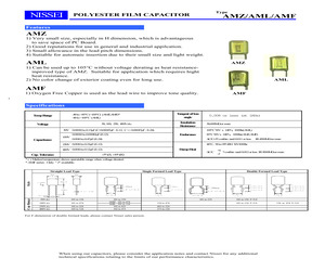 AML104J100BCK.pdf