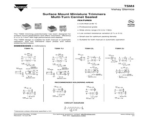 TSM4YJ501KR05WL.pdf