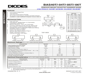 BAS40-04T-13.pdf