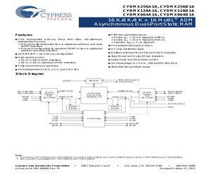 CYDMX256B16-65BVXI.pdf