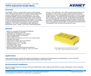 T495D156K035ASE300.pdf