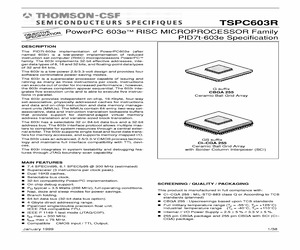 TS(X)PC603RMGS12L(C).pdf