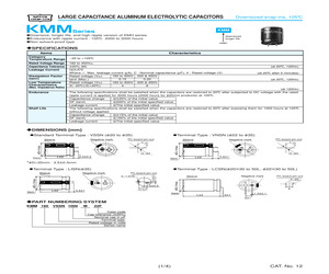 160VNSN330M22A.pdf