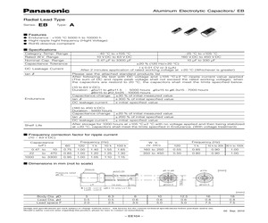 EEUEB2G100(B).pdf